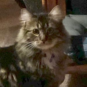 Meet your Posher, Sharon